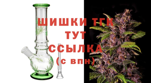 сатива Михайлов