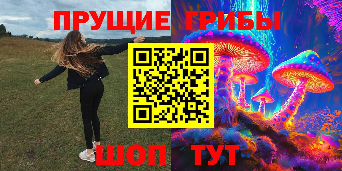 Нефтекумск  Псилоцибиновые грибы Psilocybine cubensis  где можно купить   Вход с VPN 